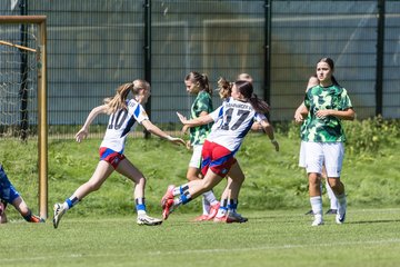 Bild 45 - wBJ Hamburger SV - VfL Wolfsburg : Ergebnis: 5:1
